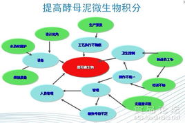 食品工厂清洗消毒有效运行的关键路径——从理论到实践的质控体系
