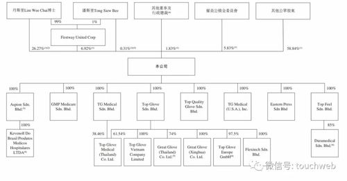 重塑资本之路 后疫情时代顶级手套再冲刺港股的戰略考